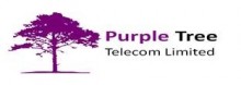 Purple Tree Communications Logo