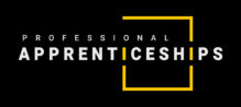 Professional Apprenticeships LTD Logo